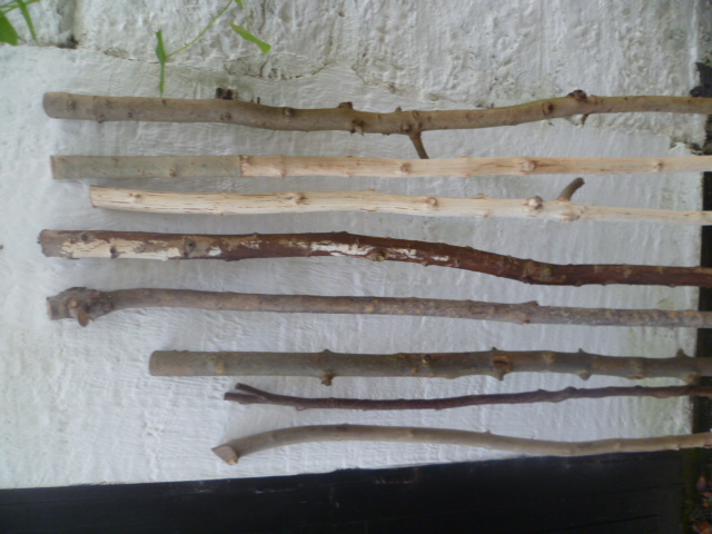 STAFFS OF VARIOUS TIMBERS